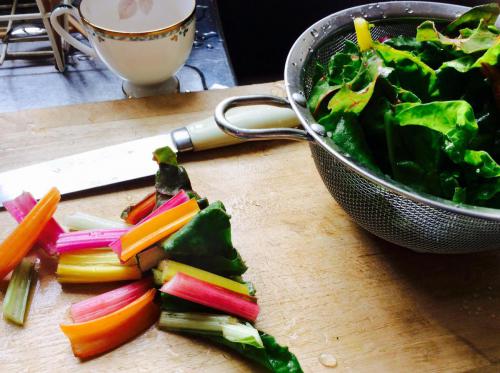 51735412_302651357104876_4515290442450862080_n